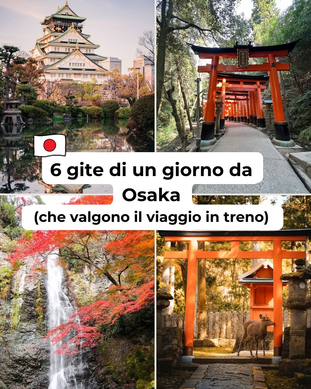 Elena Giappone - Consulente Viaggio 🇯🇵, Fushimi Inari Taisha