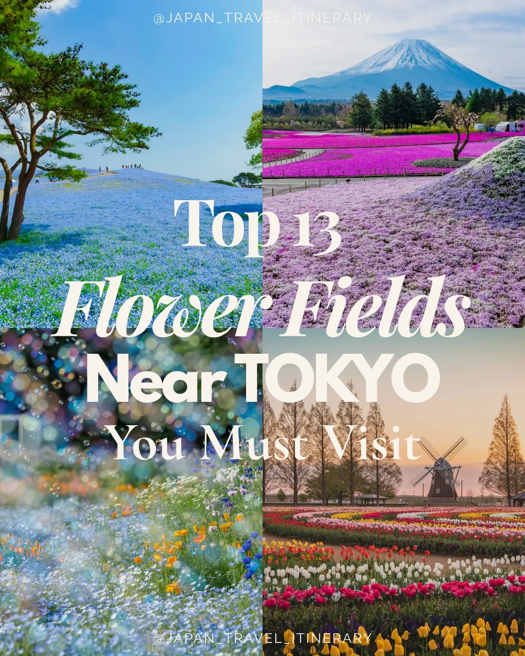 Kohei｜Japan Travel Tips Advisor 🇯🇵, Hamarikyu Gardens
