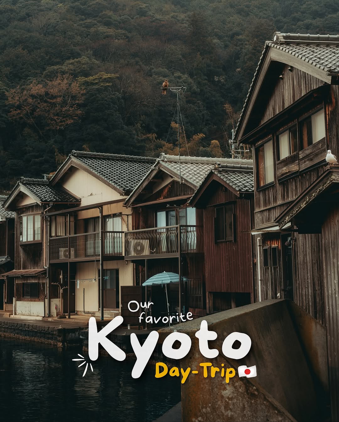 Sara & Vasco | Travel 🗺️, Amanohashidate Kasamatsu Park