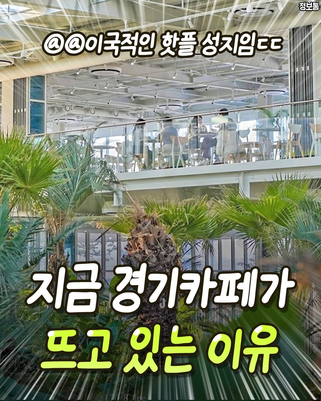 서울정보통 / 서울정보 서울맛집 서울카페 서울여행, Calliope - Cafe/ Bakery/ Restaurant and more