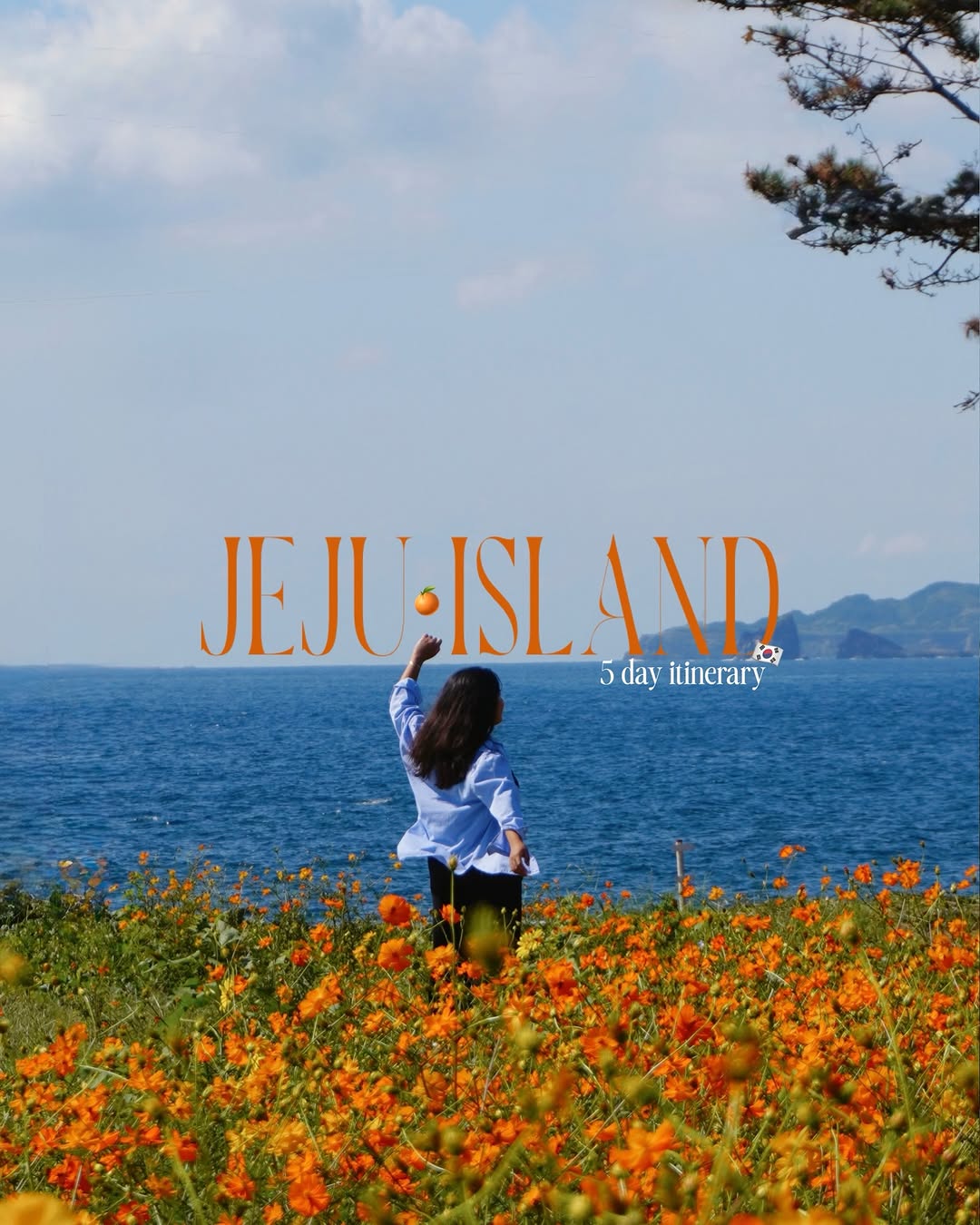 ysabelle • travel & lifestyle, Jusangjeollidae