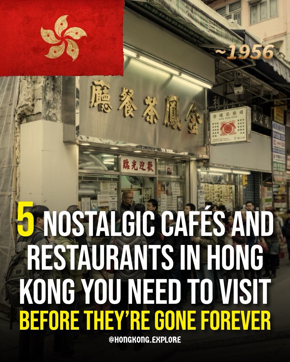 Hong Kong 🇭🇰 香港 Travel | Hotels | Food | Tips, Australia Dairy Company