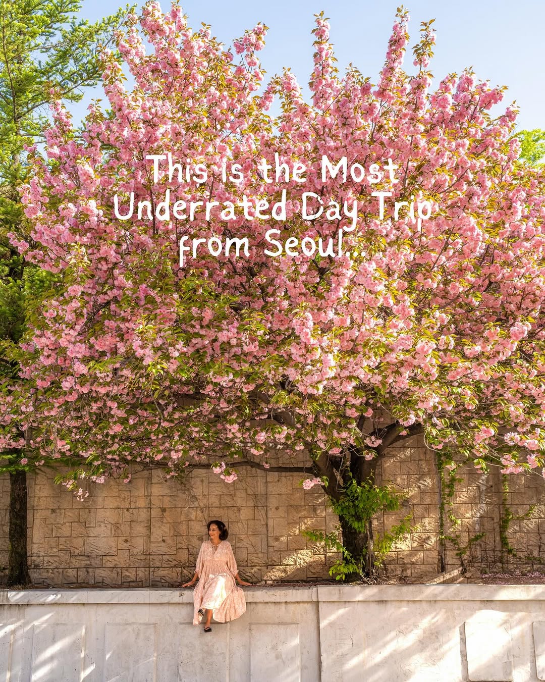 Jackie Rezk✨ Solo Travel Blogger | London, Suwon Hwaseong Fortress