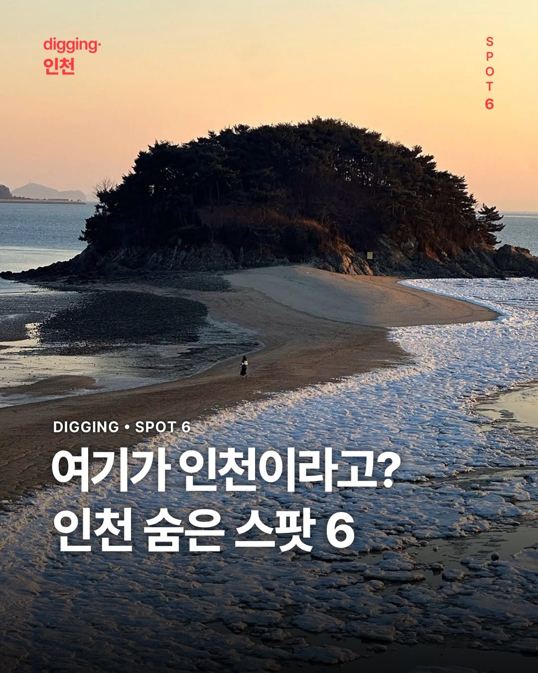 디깅인천 l digging.incheon, Sorae Ecology Park