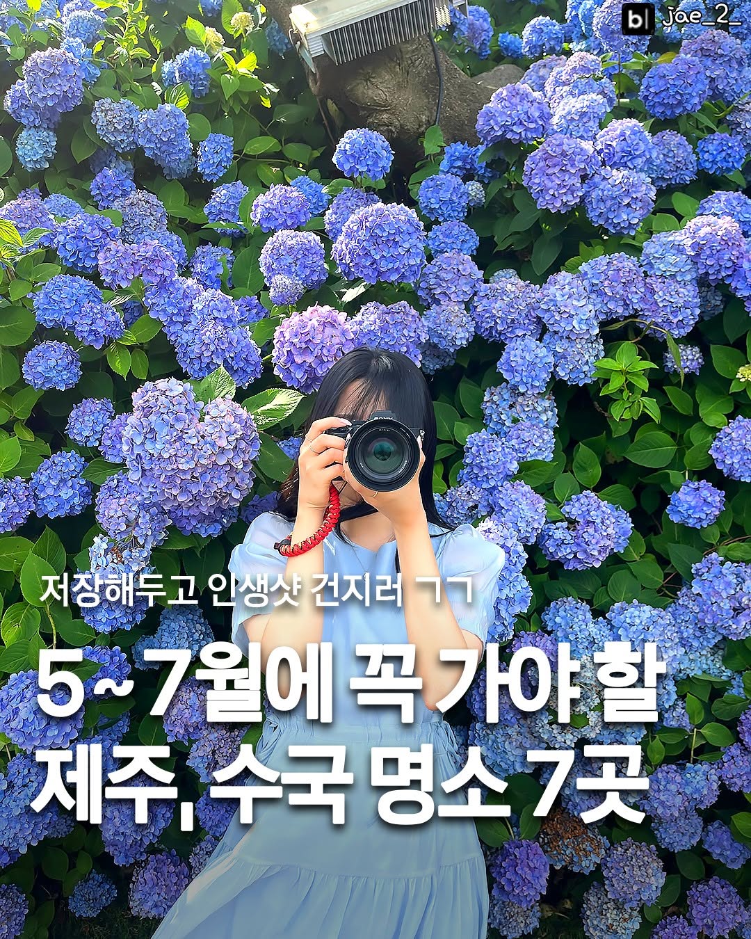 제주맛집 | 제주카페 제주여행 제주가볼만한곳 제주핫플, Oedolgae