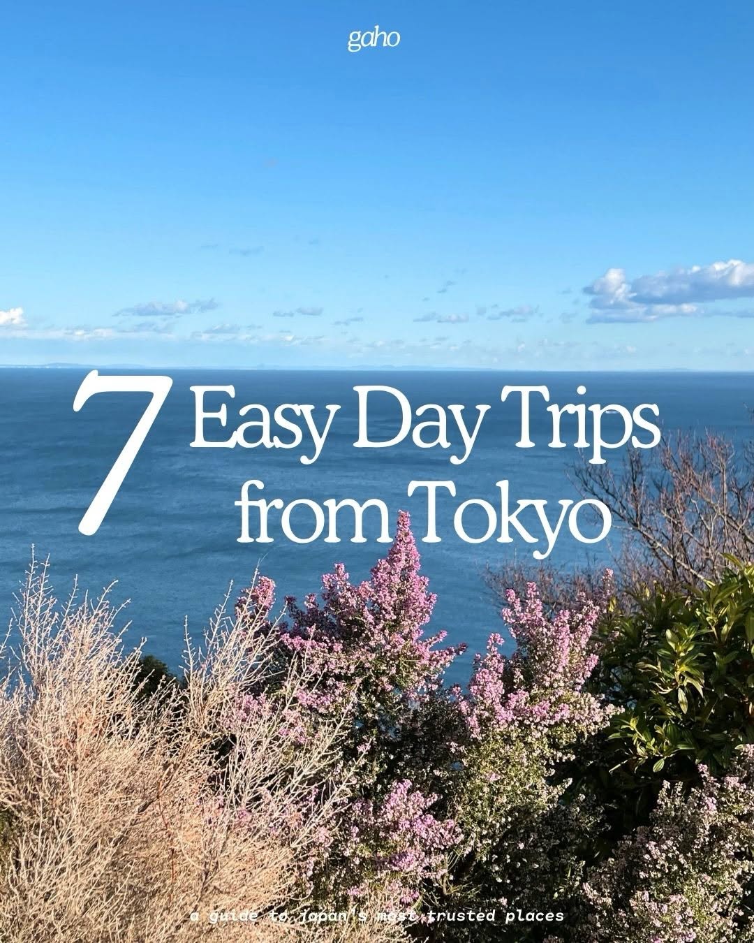 A guide to Japan’s most trusted places, Hakone Shrine