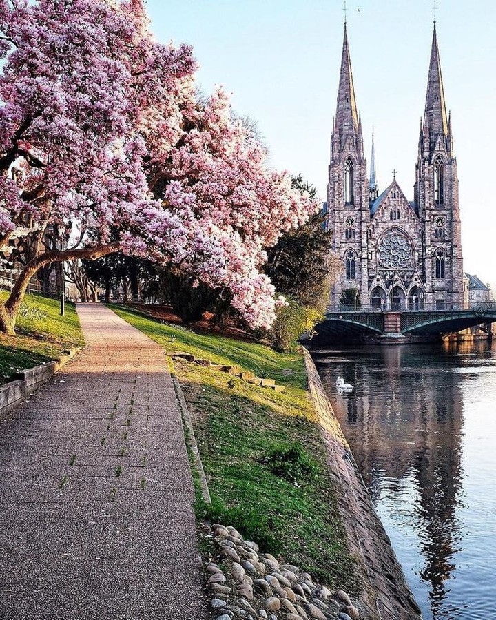 Europe Travel Guide 🇪🇺 Hotels | Attractions | Tips, Cathédrale Notre-Dame-de-Strasbourg