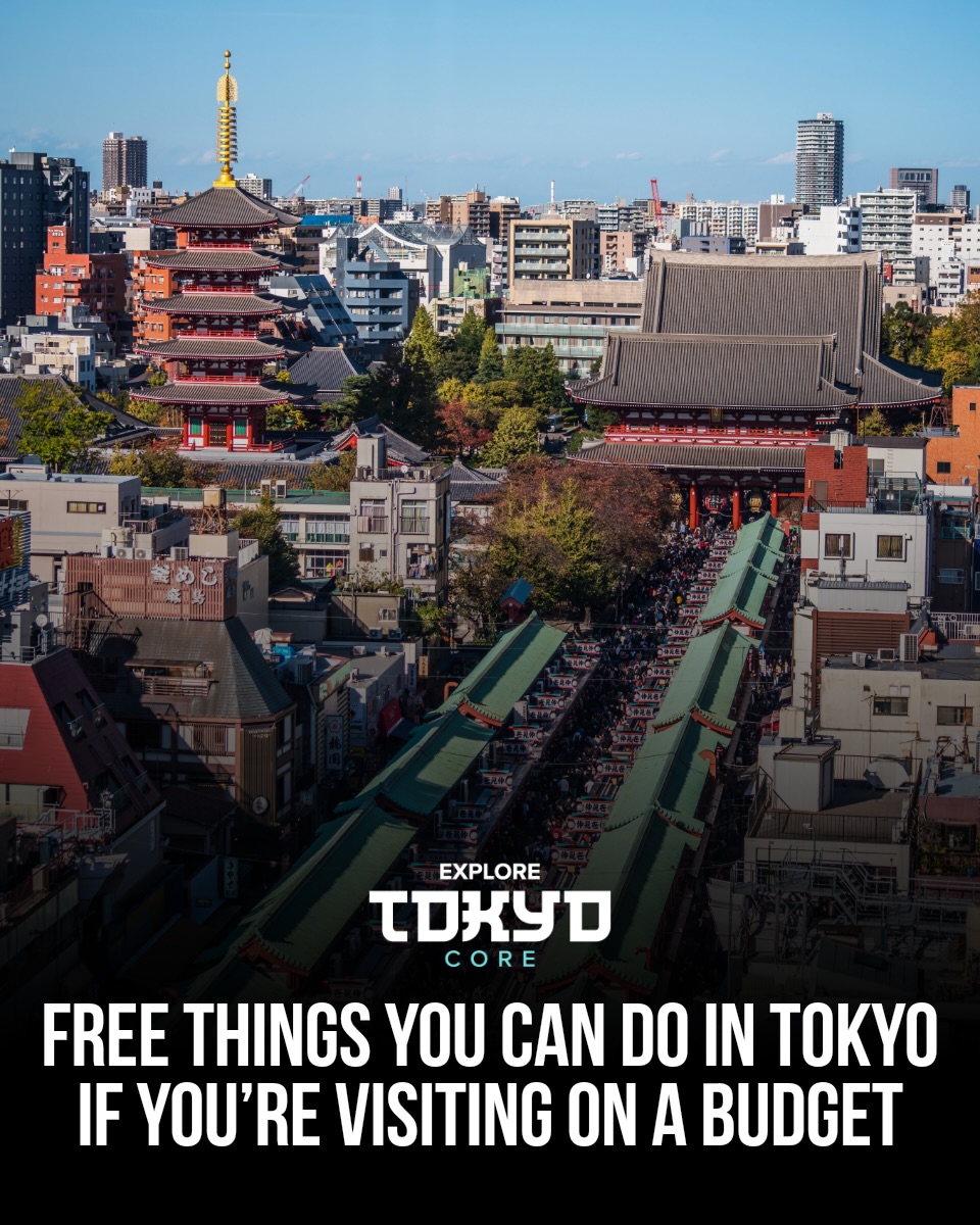 Tokyo, Japan🇯🇵 东京 Travel | Hotels | Food | Tips 🗼, Shibuya Scramble Crossing
