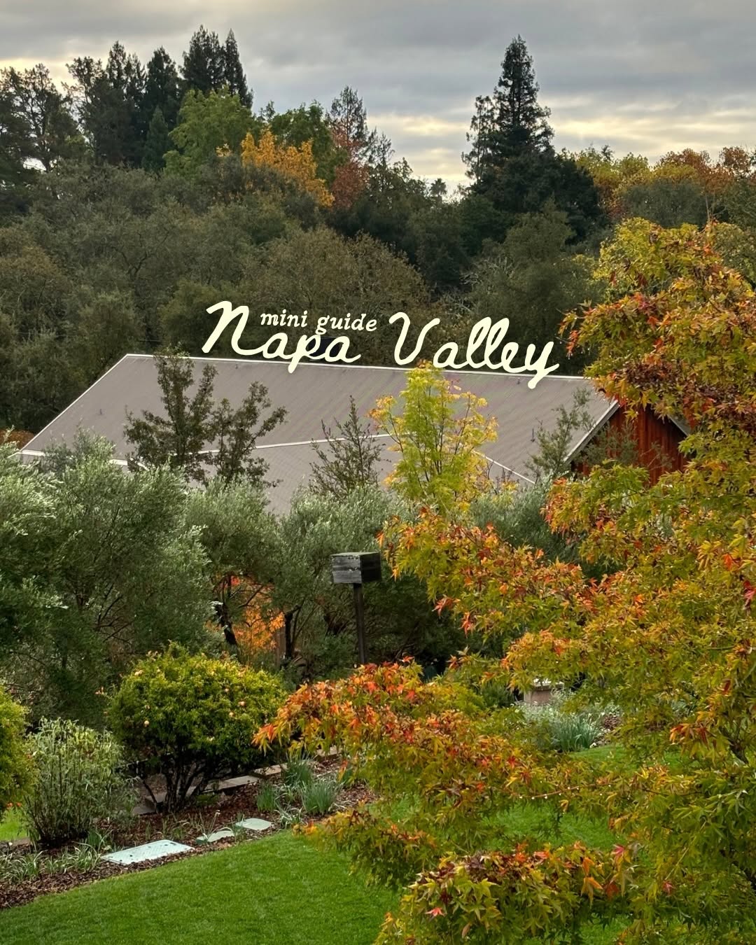 Rylee Rose | Travel Advisor, Oxbow Public Market