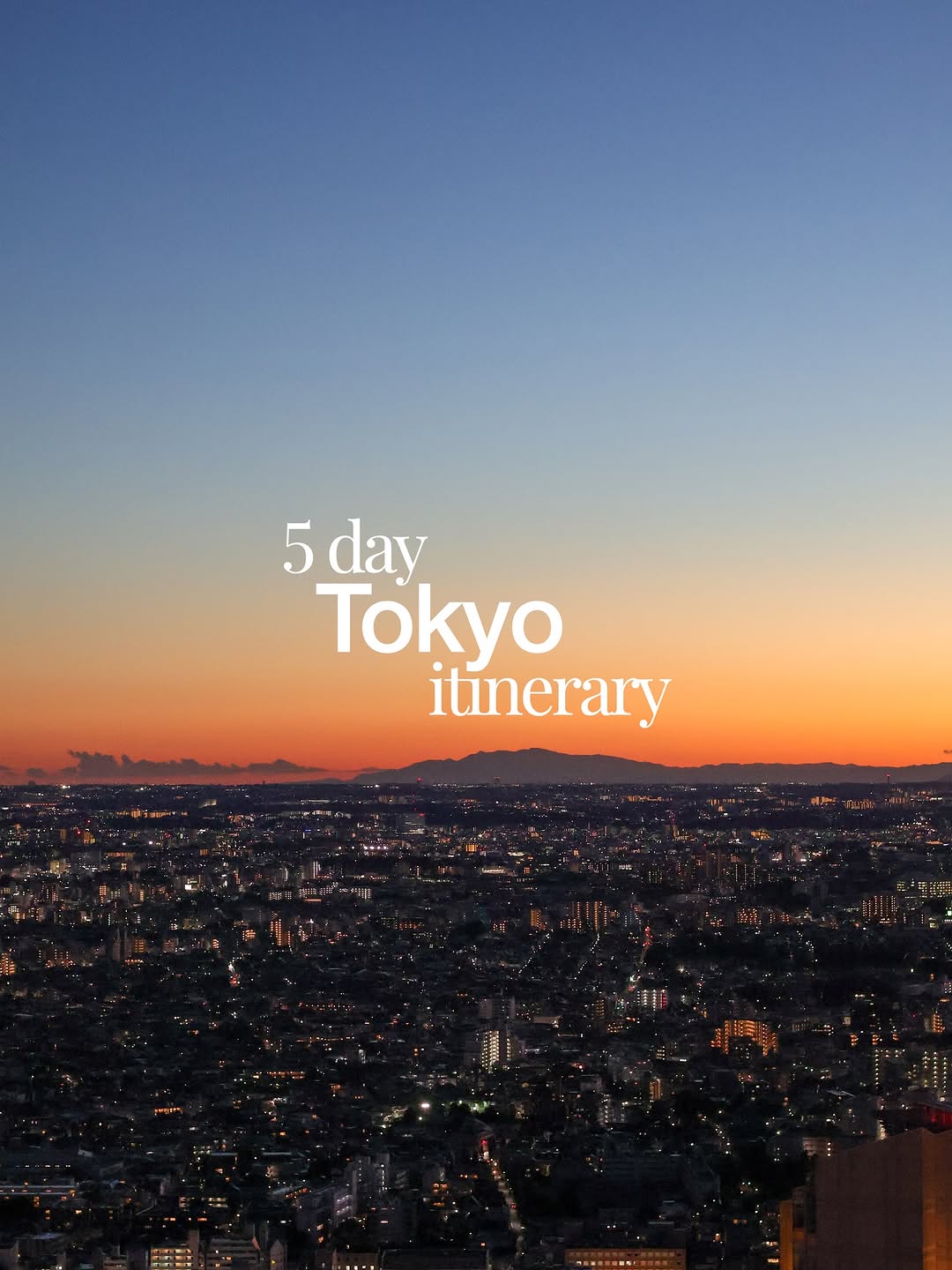 Zoe | Travel & UGC Creator, Shibuya Scramble Crossing