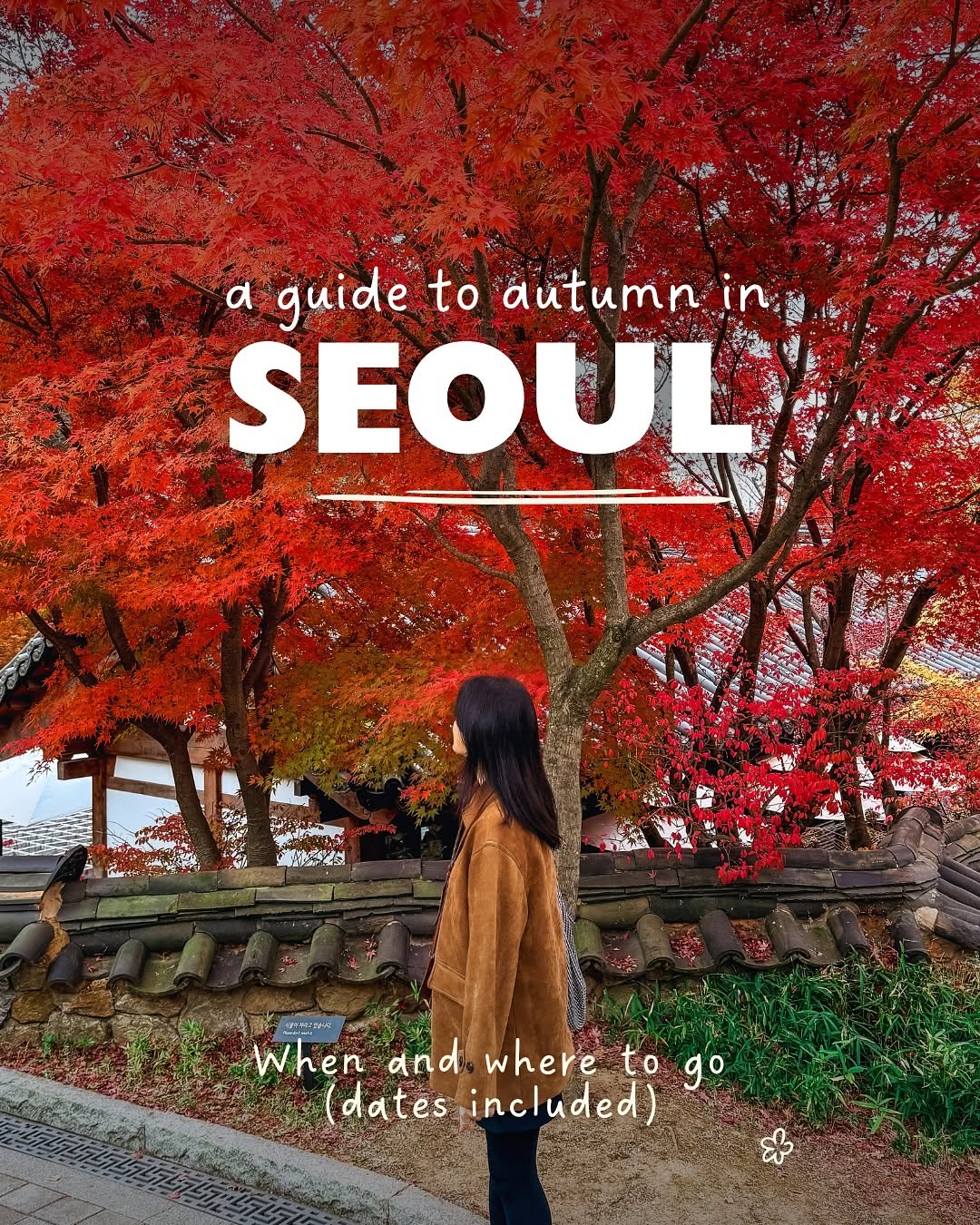 Sol Life, Gyeongbokgung Palace