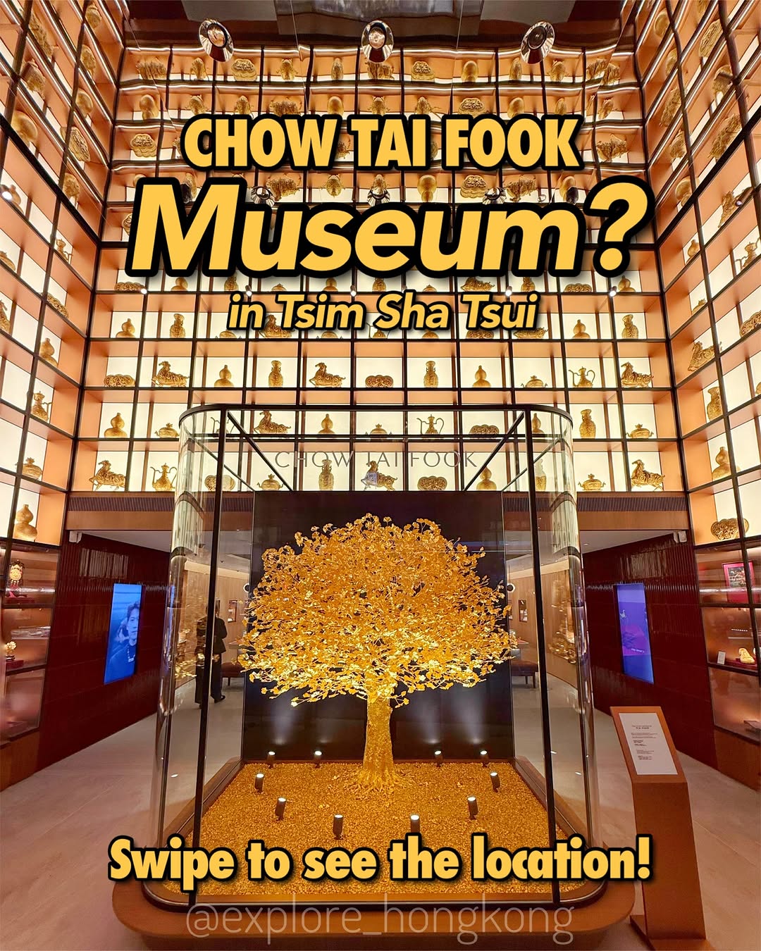 Explore Hong Kong like a local 🙋🏻‍♀️🇭🇰, Silvercord