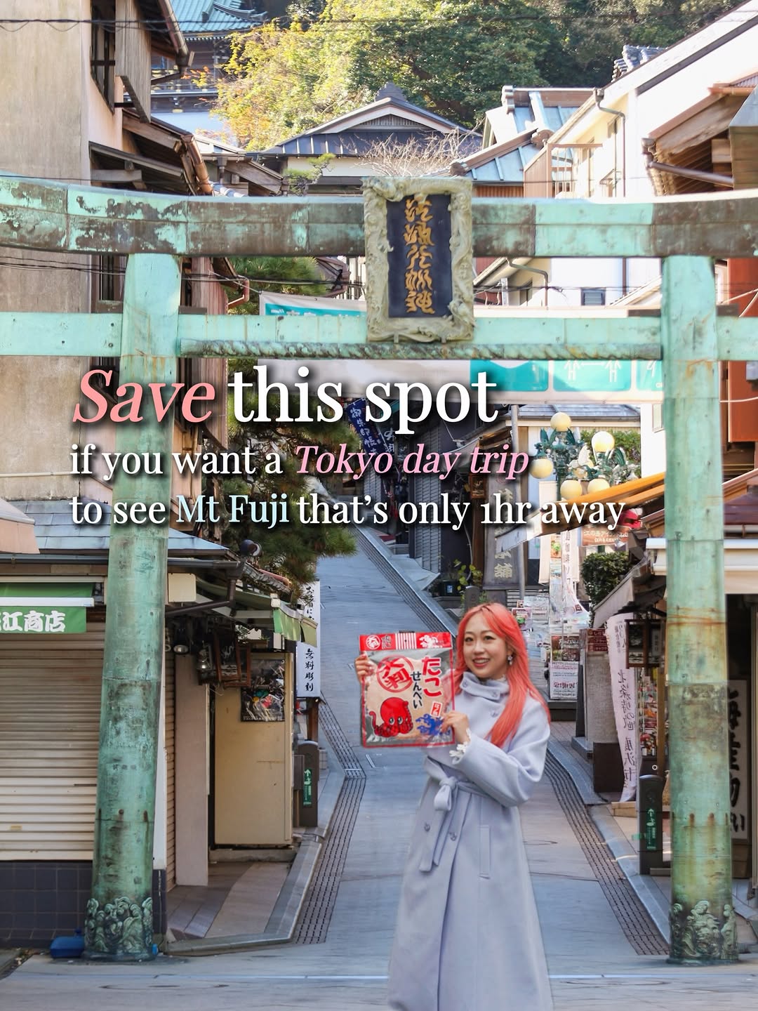 Ariel Lee アリエル | Japan Travel Creator, Mount Fuji