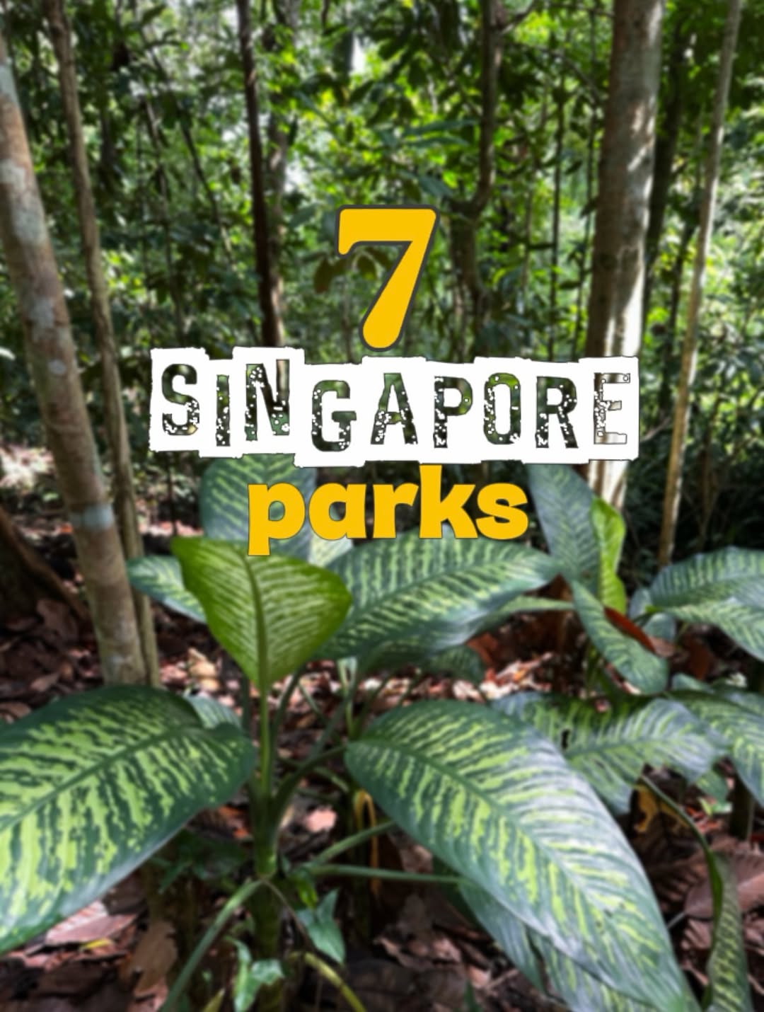 Singapore Memoire - Your City Guide, Fort Canning Park