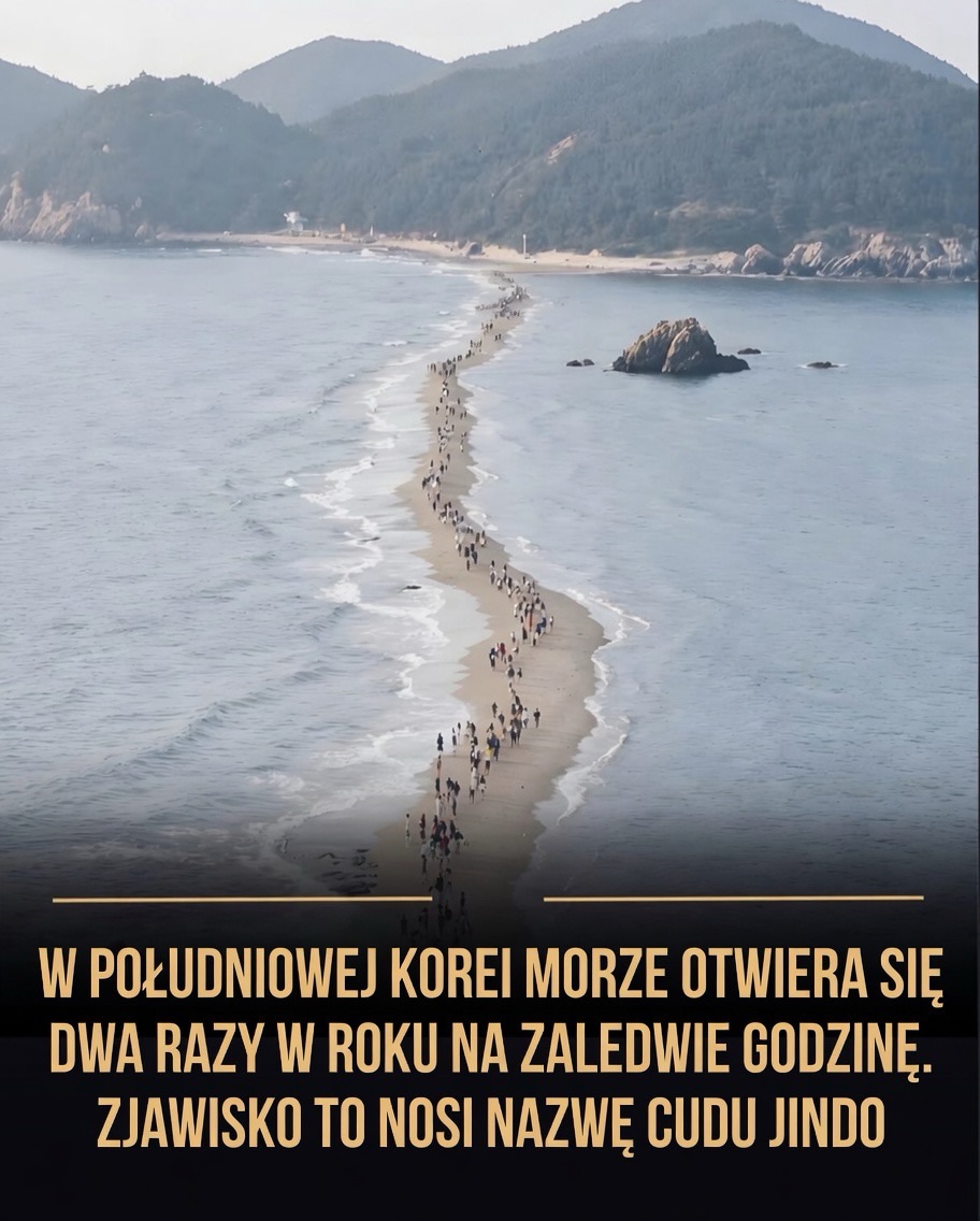 Nauka • Fakty • Ciekawostki, Modo