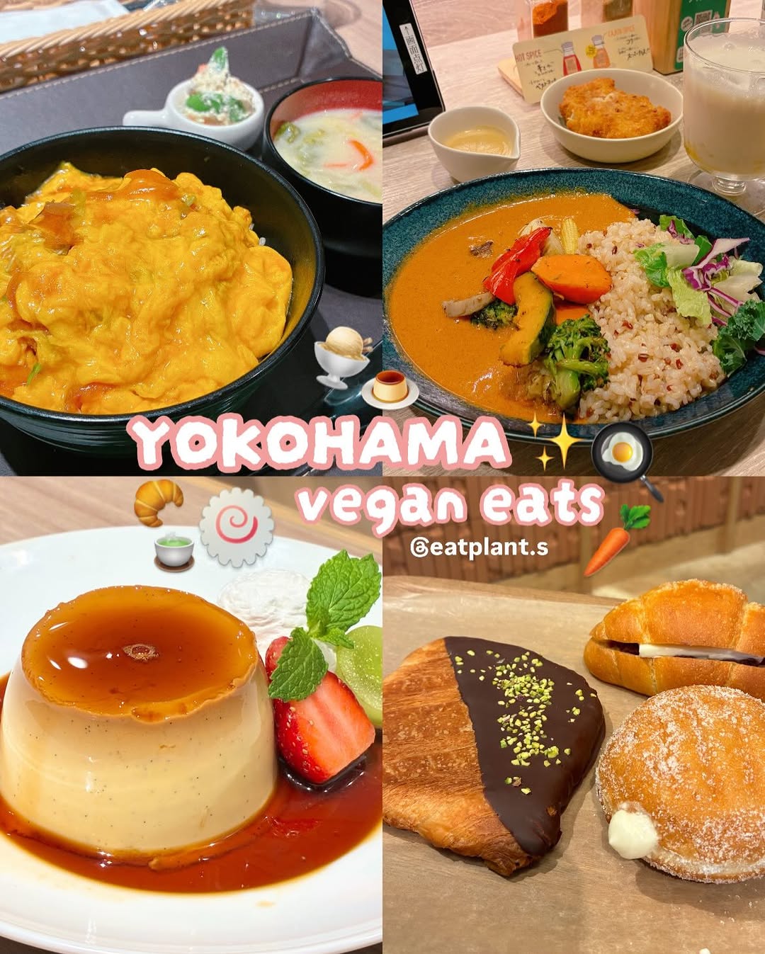 chantelle ⊹₊⟡ hong kong vegan, RUCY+R Yokohama JOINUS