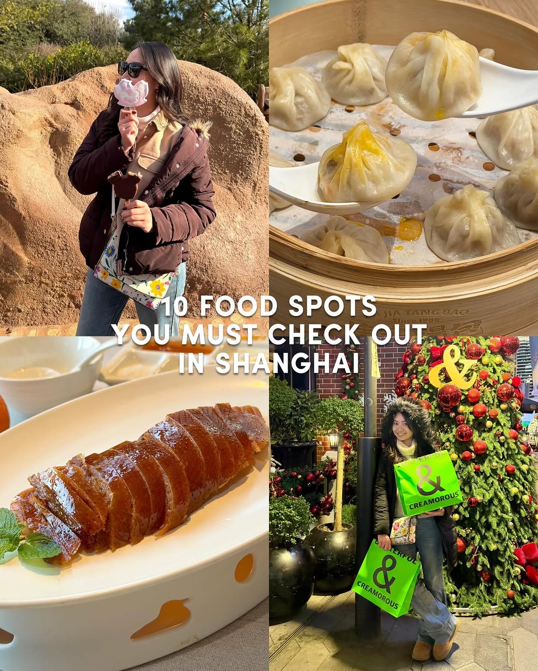 What Natasya Eats, yang's fried dumpling