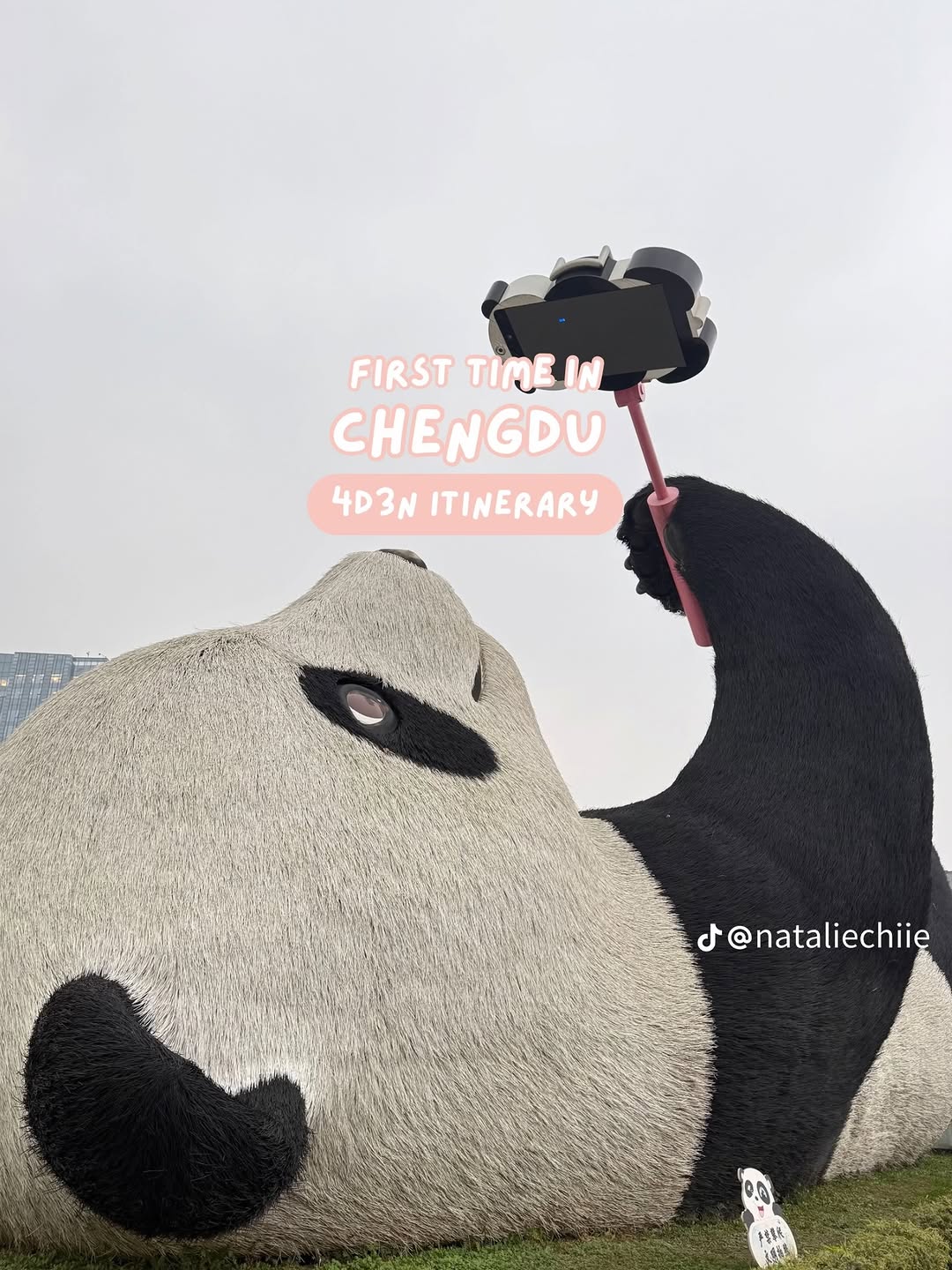 China 🇨🇳 Asia Travel | Hotels | Food | Tips, Chengdu Research Base of Giant Panda Breeding