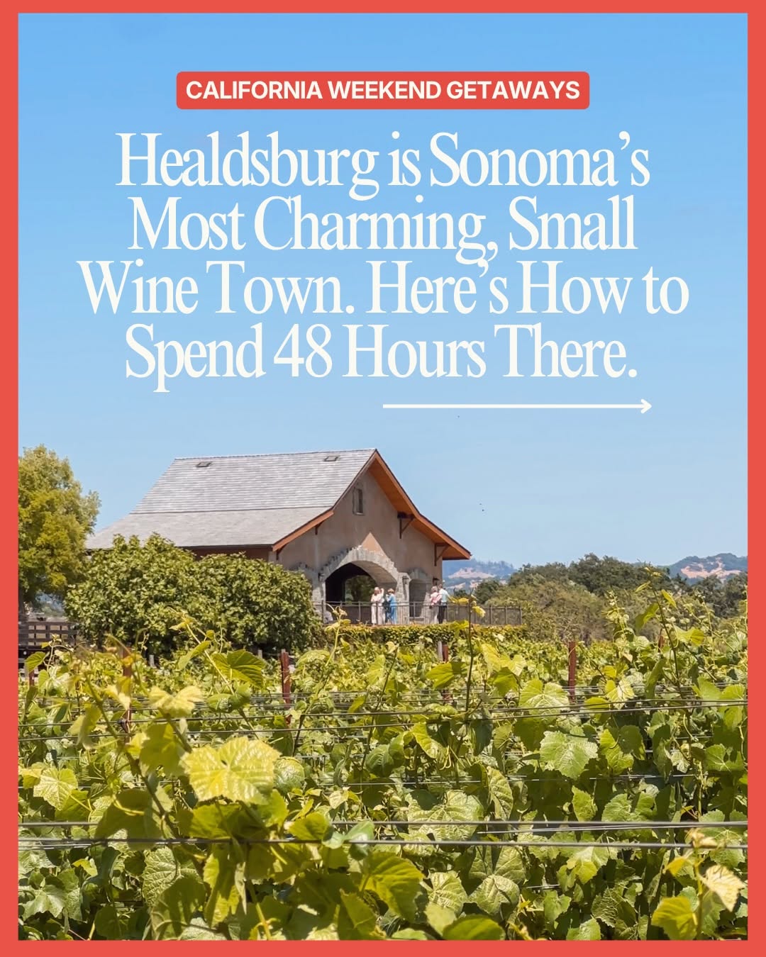 Jessie Beck | Travel Creator, Dry Creek Vineyard