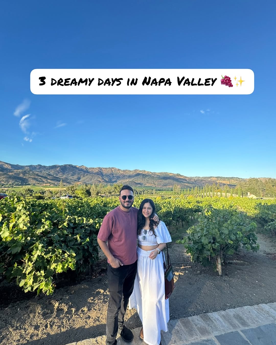 Kanika Negi, Gott's Napa
