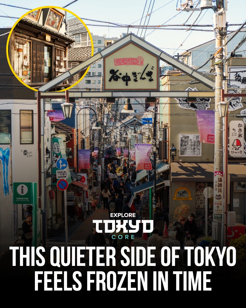 Tokyo, Japan🇯🇵 东京 Travel | Hotels | Food | Tips 🗼, Yanaka Ginza