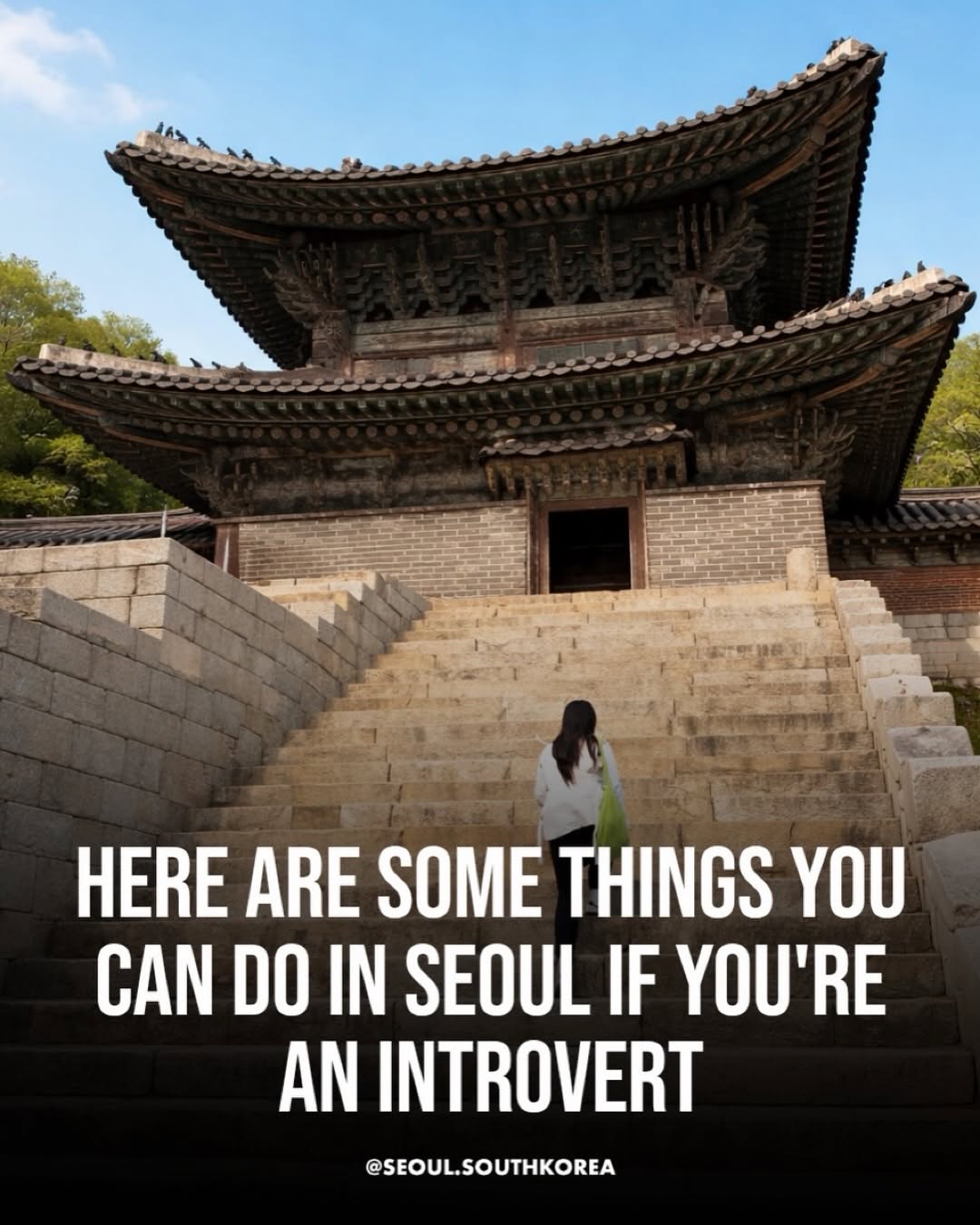 Seoul 🇰🇷 서울 여행 가이드 Travel | Hotels | Food | Tips, Yeouido Hangang Park