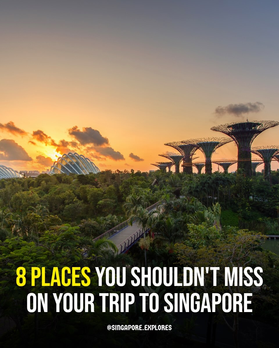 Singapore 🇸🇬 Travel | Hotels | Food | Tips, Merlion Park