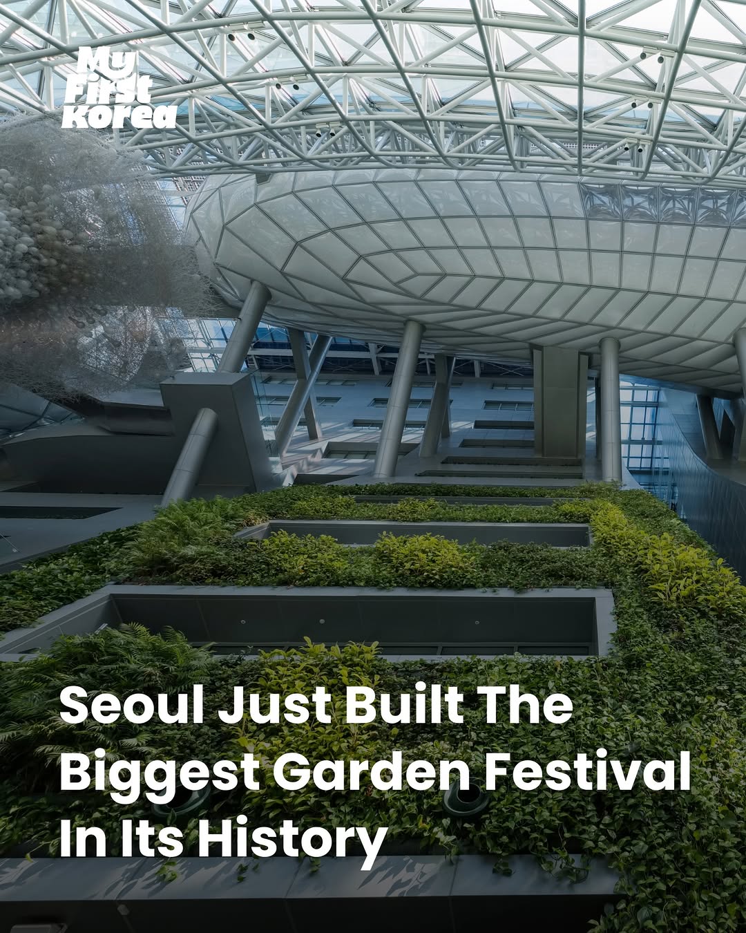 MyFirstKorea, Seoul Forest Park