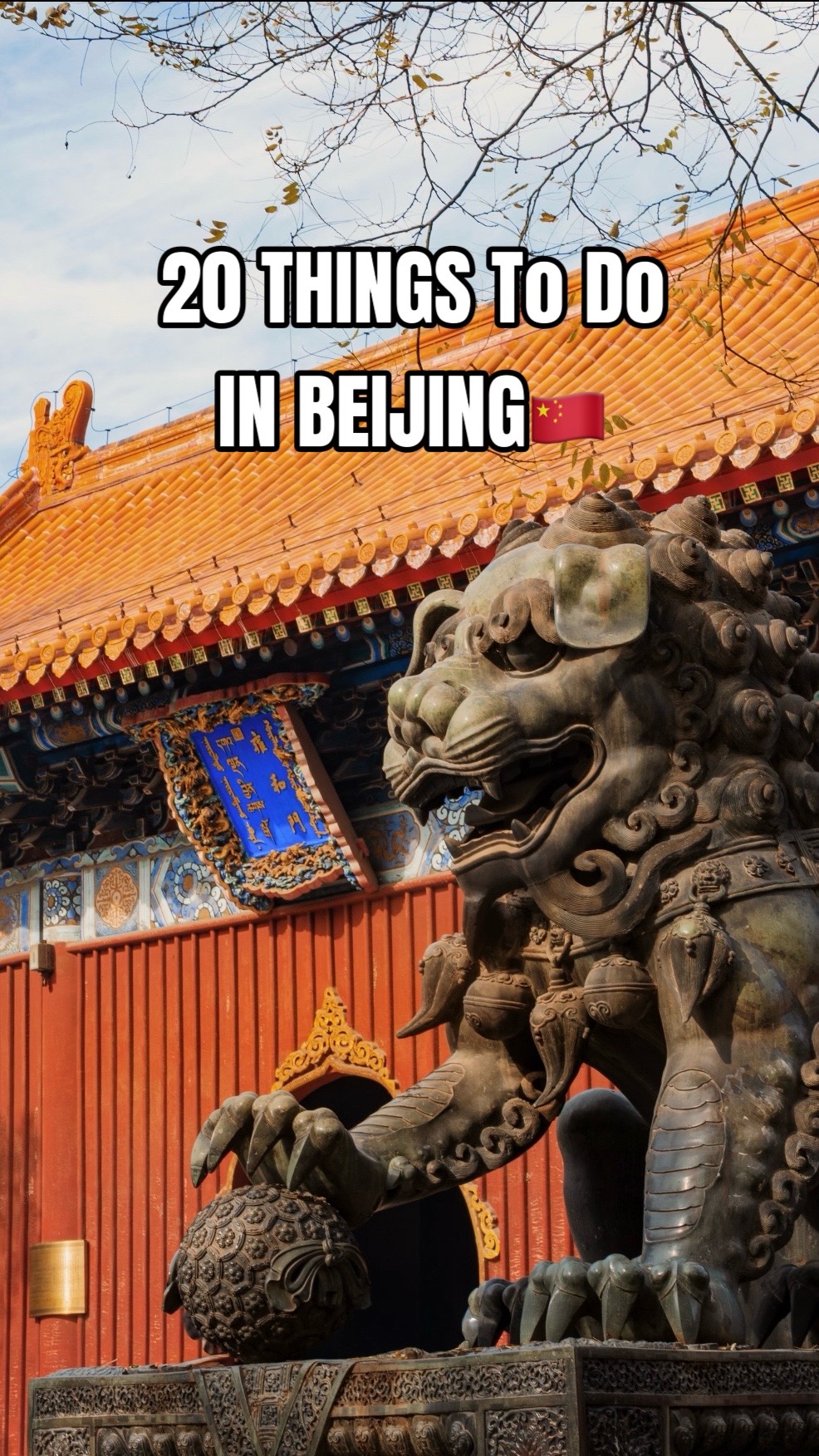 Exp.cn🇨🇳, The Palace Museum