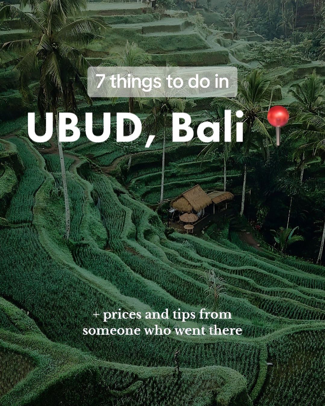 Bali ๐ฎ๐ฉ๐ | Travel | Hotels | Food | Tips, Sacred Monkey Forest Sanctuary