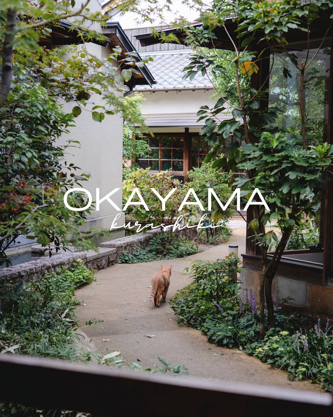 Noe＊Nao【旅するカメラマン😎🇯🇵】, Kurashiki Bikan Historical Quarter