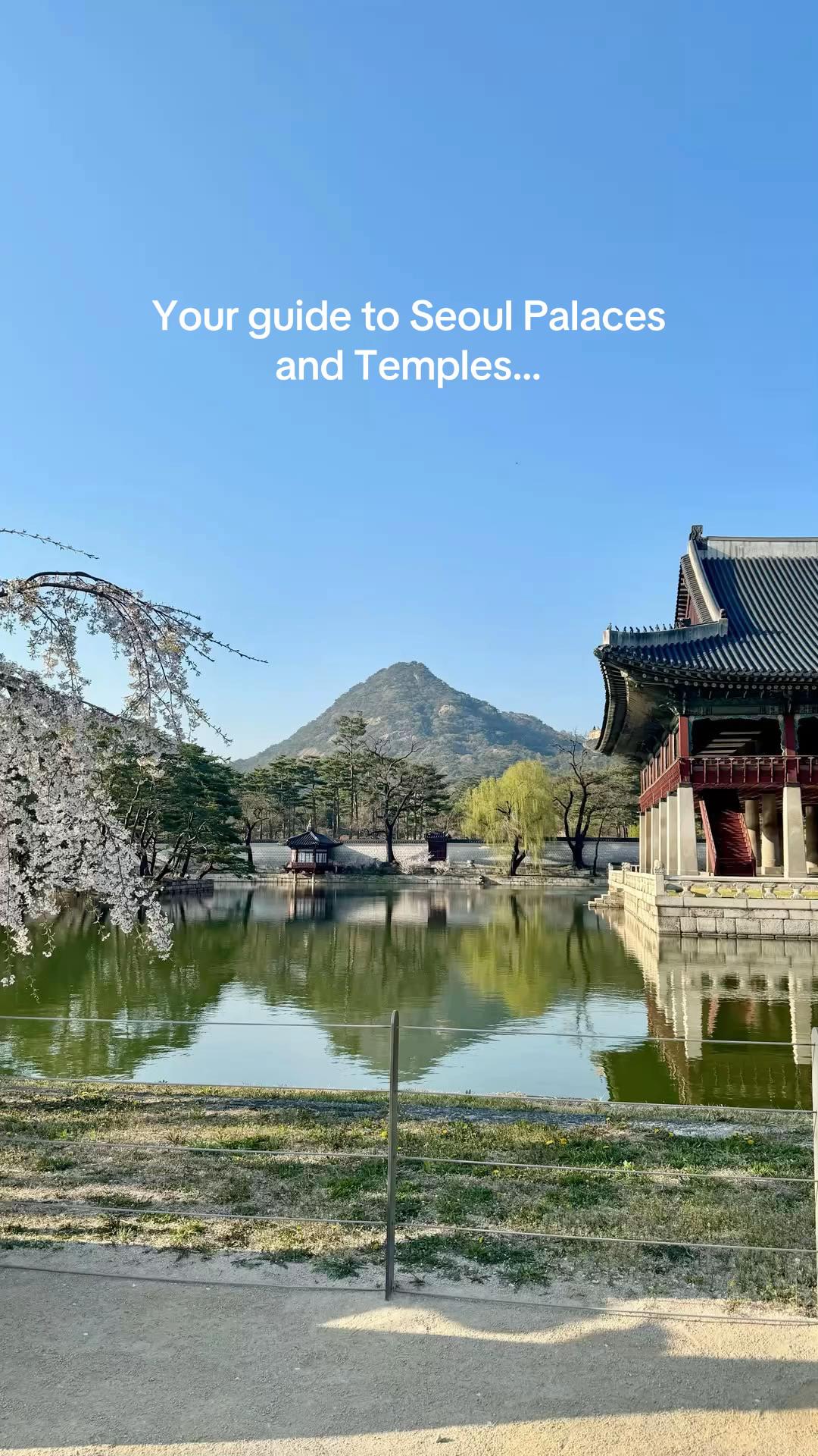 taylor | seoul creator ✨💌, Gyeongbokgung Palace