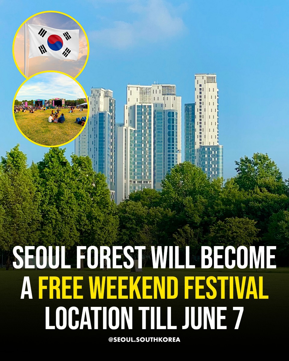 Seoul 🇰🇷 서울 여행 가이드 Travel | Hotels | Food | Tips, Seoul Forest Park