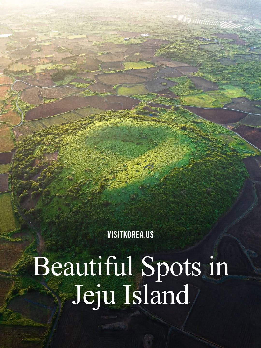 Korea Tourism Org. USA, Jusangjeollidae