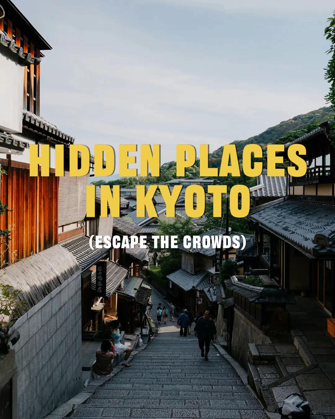 pov.bites, Arashiyama