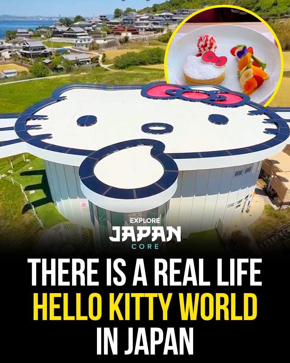 Japan 日本 🇯🇵 Asia Travel | Hotels | Food | Tips, Hello Kitty Smile