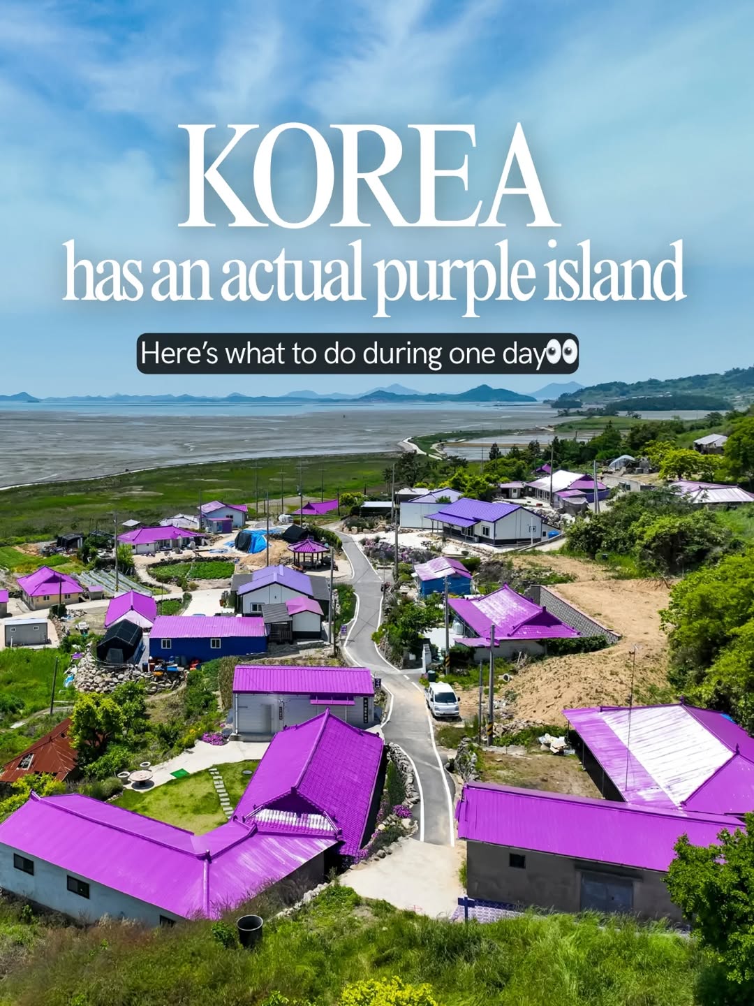 SSOLUCK 쏠럭, Purple Island 반월카페