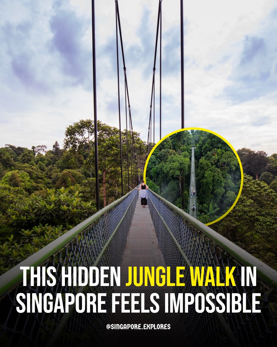 Singapore 🇸🇬 Travel | Hotels | Food | Tips, Mount Faber Park