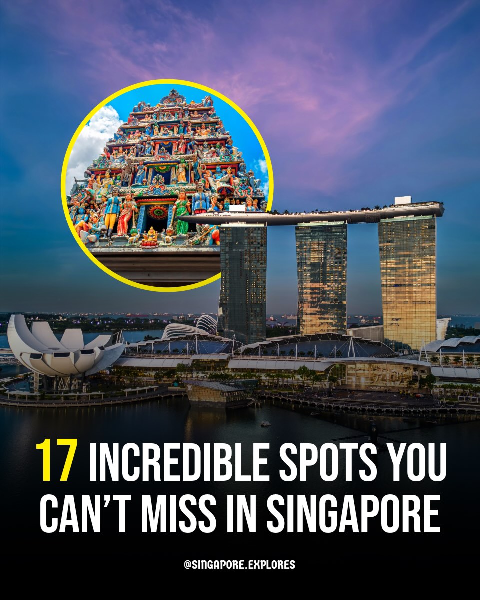 Singapore 🇸🇬 Travel | Hotels | Food | Tips, Merlion Park