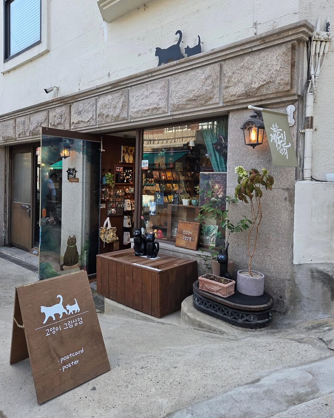 박상욱 (블랙캣) - 야옹이신문 / 고양이뉴스 편집장, Bukchon Hanok Village