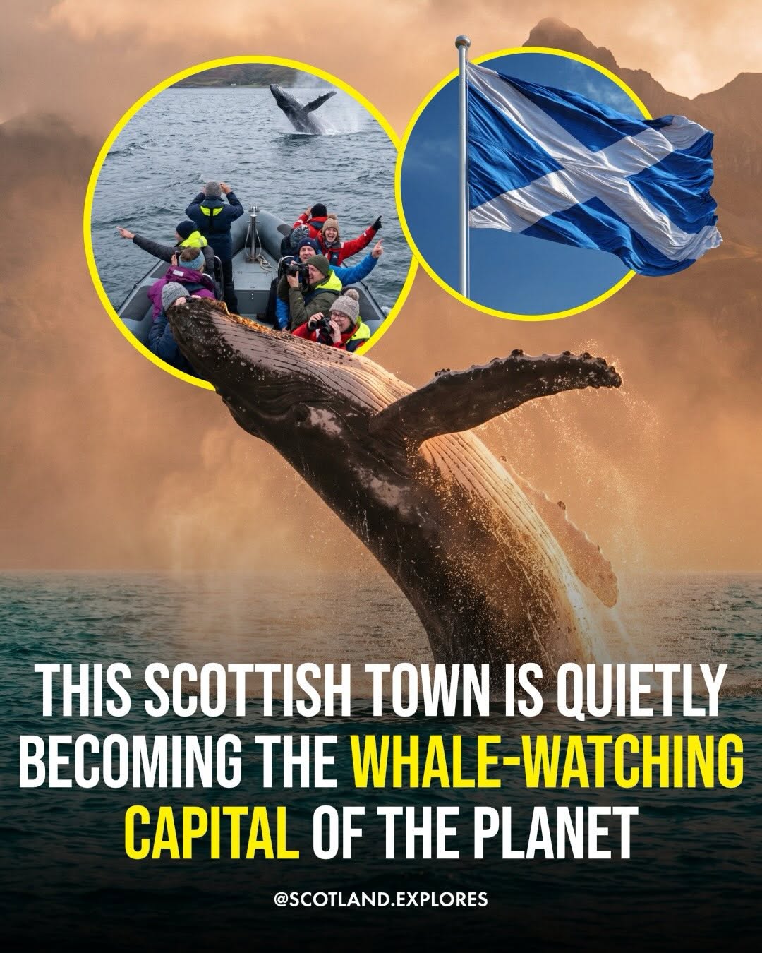 Scotland 🏴 | Travel | Hotels | Tips, Tobermory Distillery Visitor Centre
