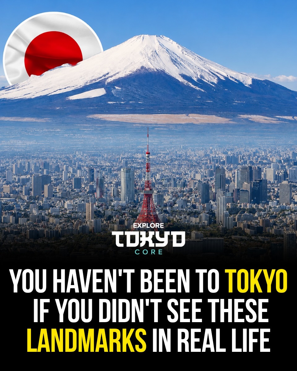 Tokyo, Japan🇯🇵 东京 Travel | Hotels | Food | Tips 🗼, Shibuya Scramble Crossing