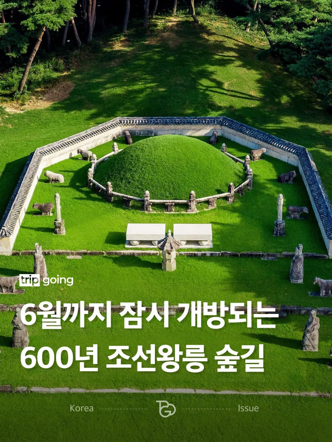 트립고잉 tripgoing, Taereung and Gangneung Royal Tombs