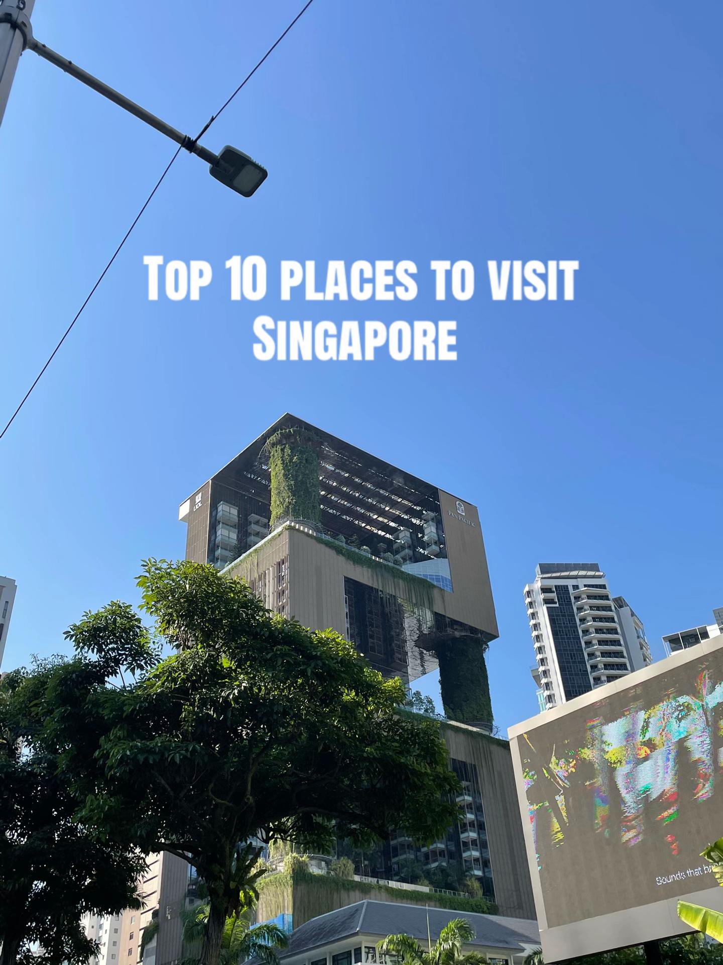 Dec, Gardens by the Bay