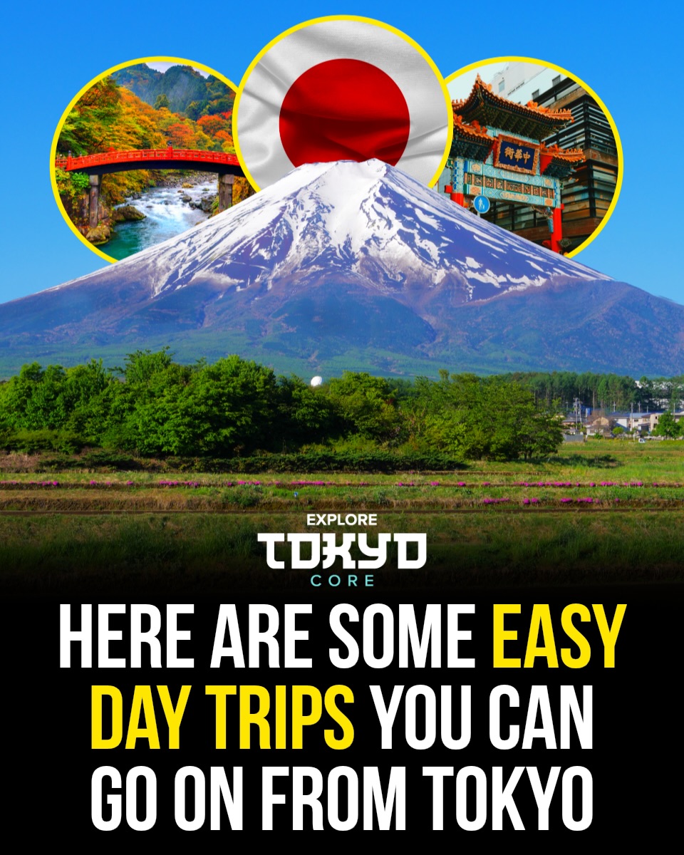 Tokyo, Japan🇯🇵 东京 Travel | Hotels | Food | Tips 🗼, Chureito Pagoda