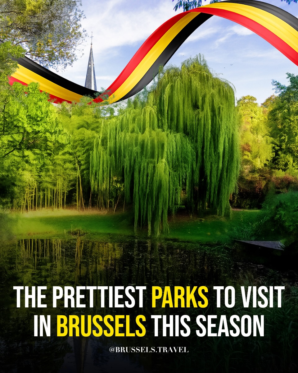 Brussels, Belgium 🇧🇪 Travel | Hotels | Food, Parc de Bruxelles