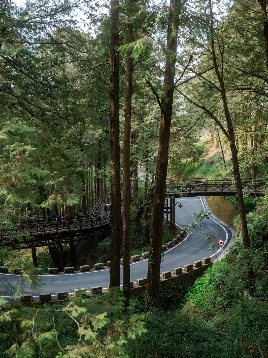 Jessie Bull, Alishan National Forest Recreation Area