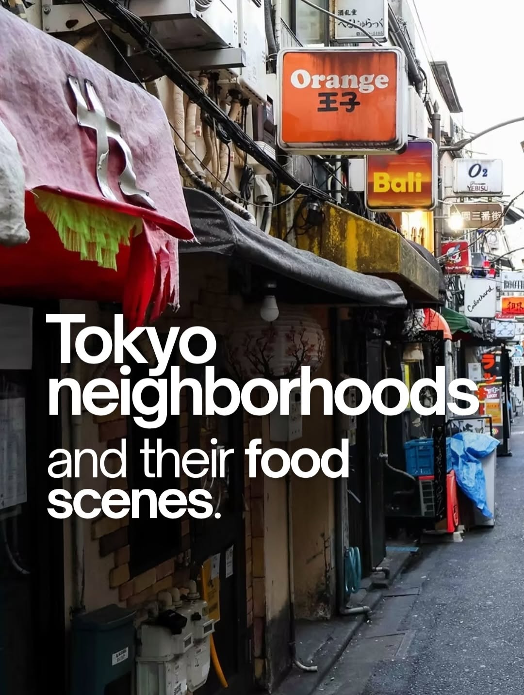 Japan Food Travels, Shibuya Scramble Crossing