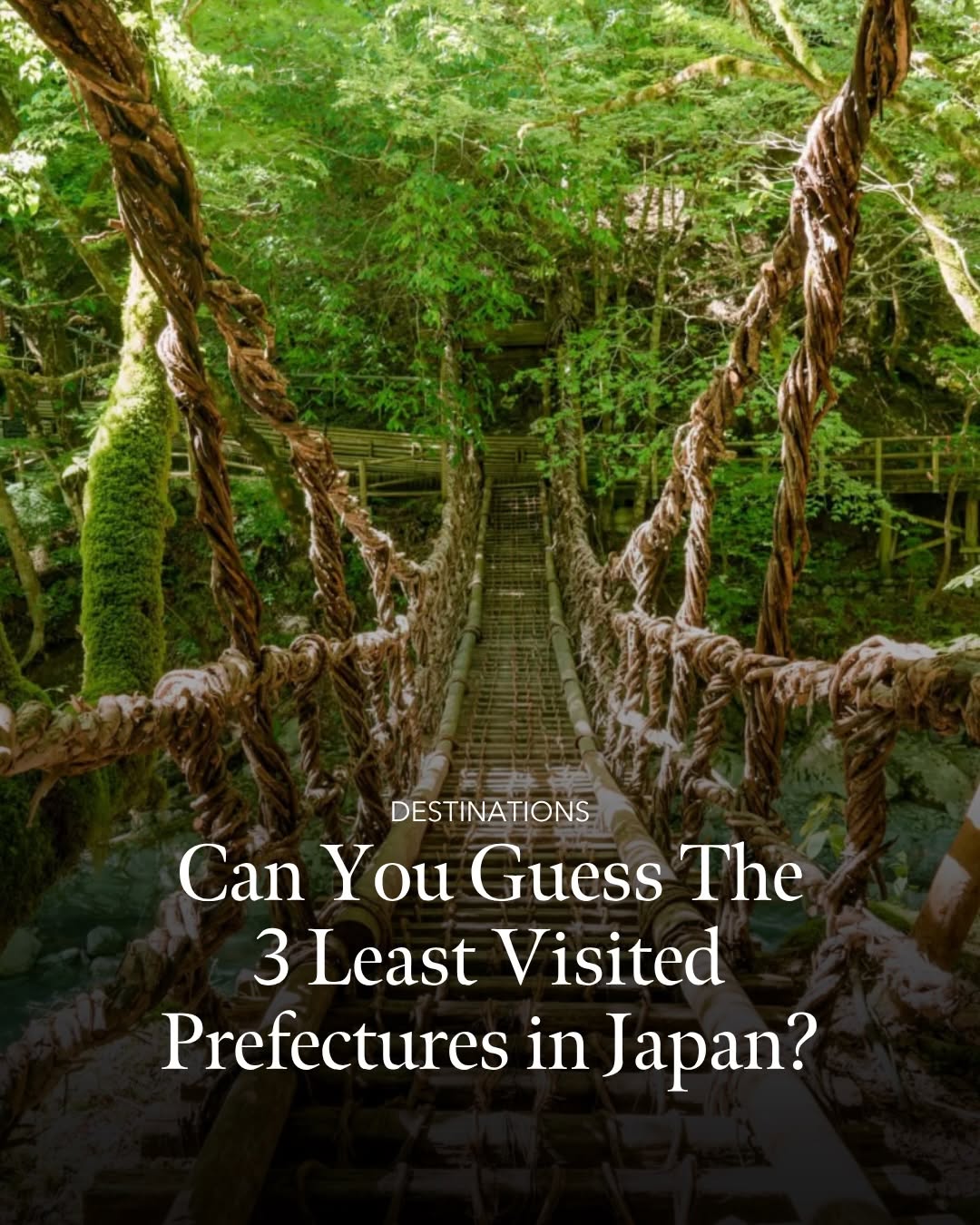Tokyo Weekender, Izumo Taisha