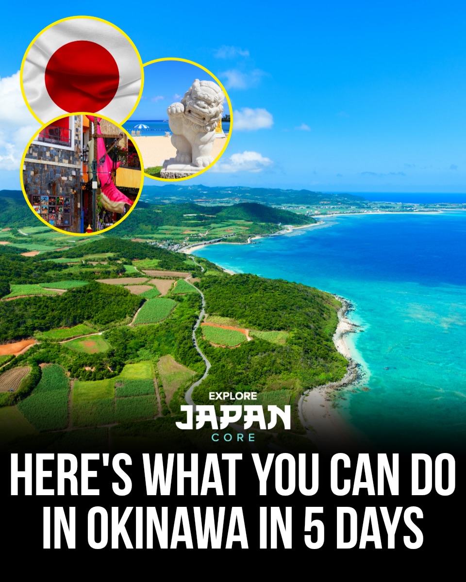 Japan 日本 🇯🇵 Asia Travel | Hotels | Food | Tips, Shuri Castle